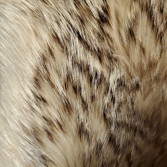 💥SOLD💥HUGE"Wolf Fur Collar - Picture 12 of 13